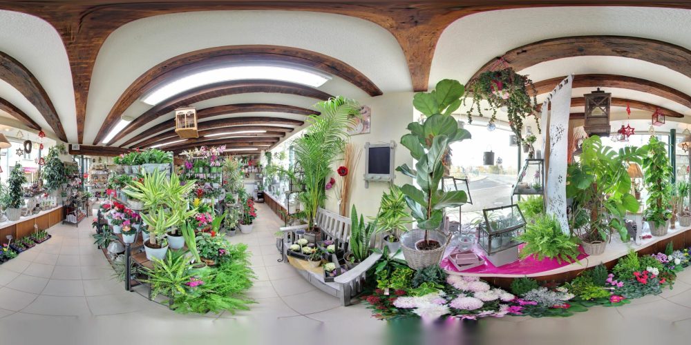 Visite virtuelle Google Street View - Floralies Selloises
